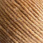 Ginger